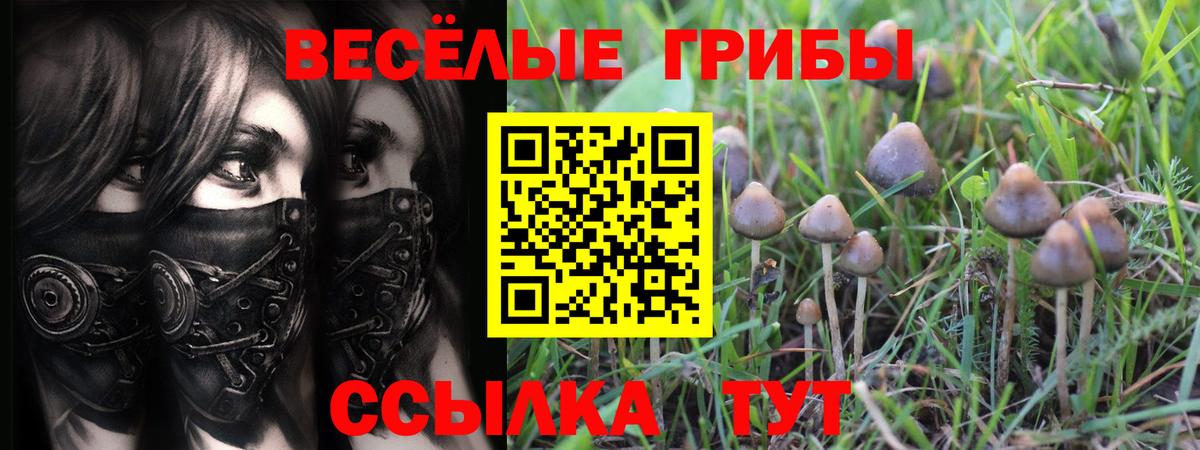 Домодедово  Псилоцибиновые грибы MAGIC MUSHROOMS  Вход с VPN  Галлюциногенные грибы мухоморы 