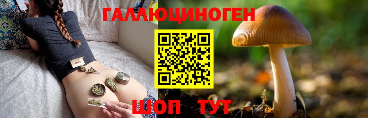 Псилоцибиновые грибы Magic Shrooms Домодедово
